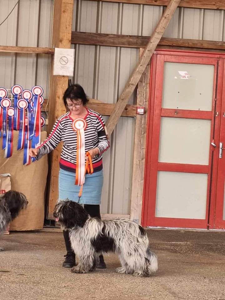 du Jardin aux Eglantines - THESS CHAMPIONNE DE FRANCE JEUNE