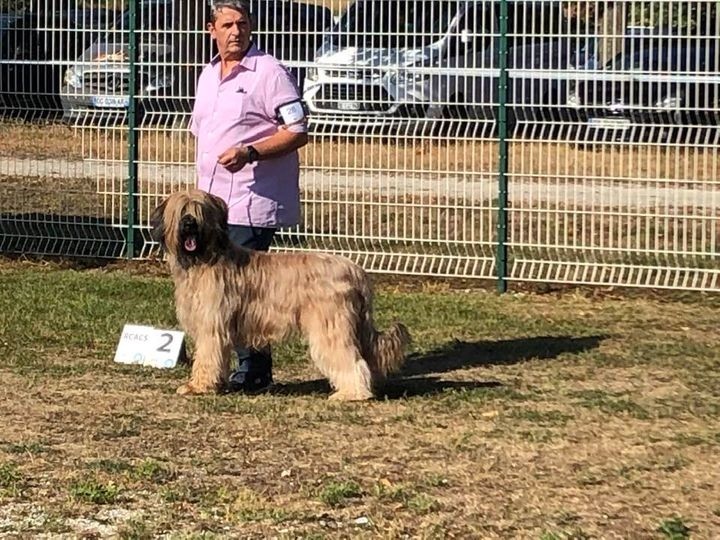 du Jardin aux Eglantines - 21/08/2022 SPECIALE DE RACE STRASBOURG