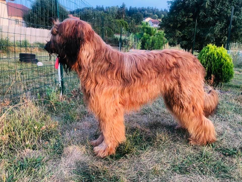 U'bailey Du Pays Des Hautes Marches