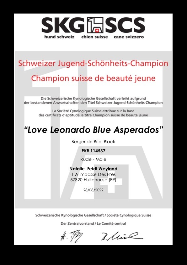 Multi ch jeune -cot 2 -  love leonardo blue asperados