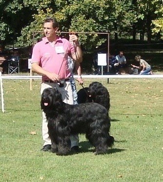 Gaston du Jardin aux Eglantines