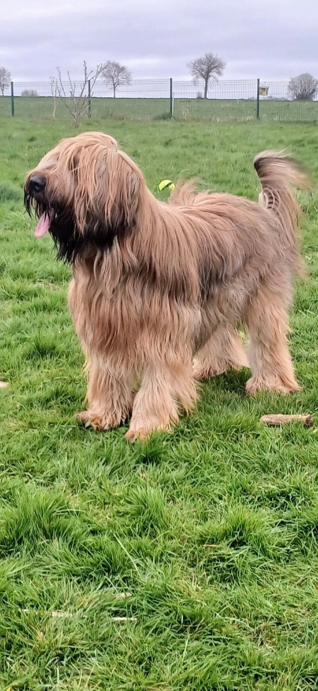 Voltaire soloraid du Jardin aux Eglantines