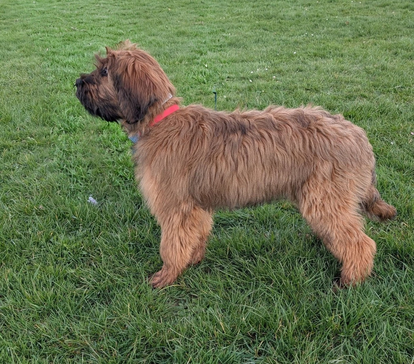 AXL RAID du Jardin aux Eglantines