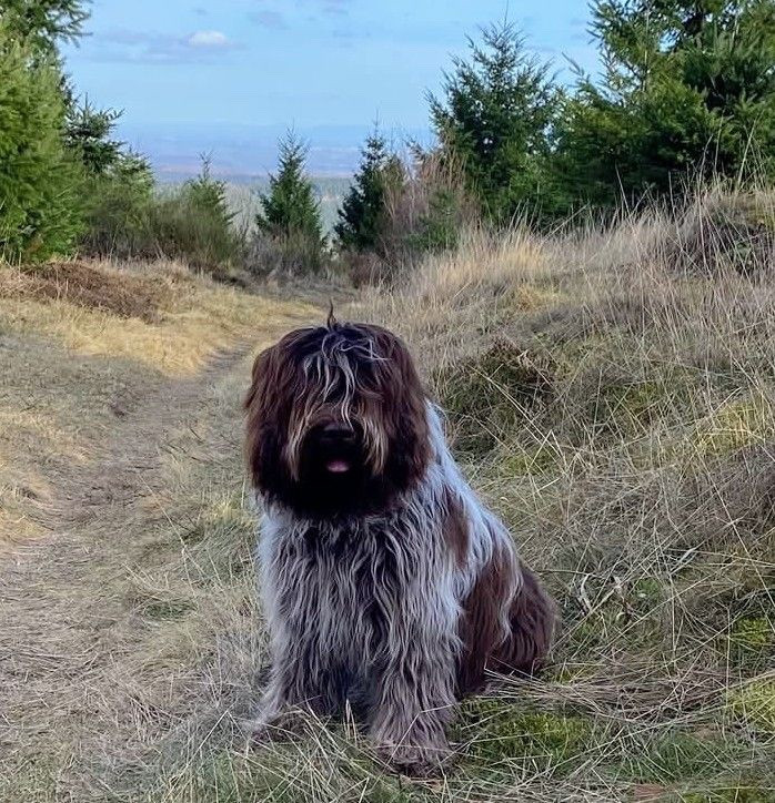 API du Jardin aux Eglantines