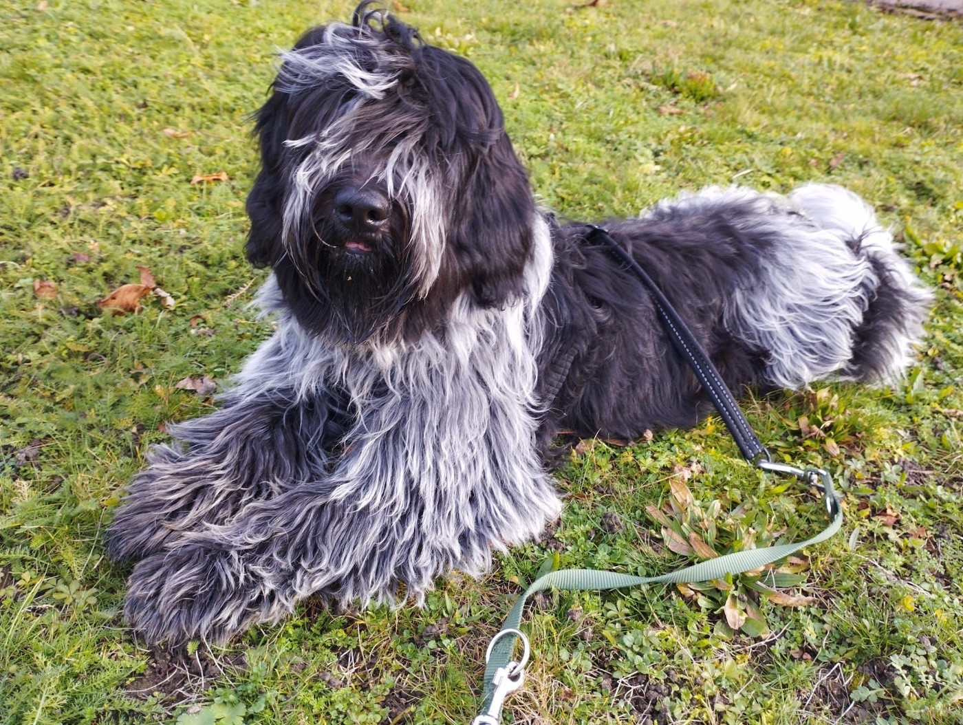 ARTHUS du Jardin aux Eglantines