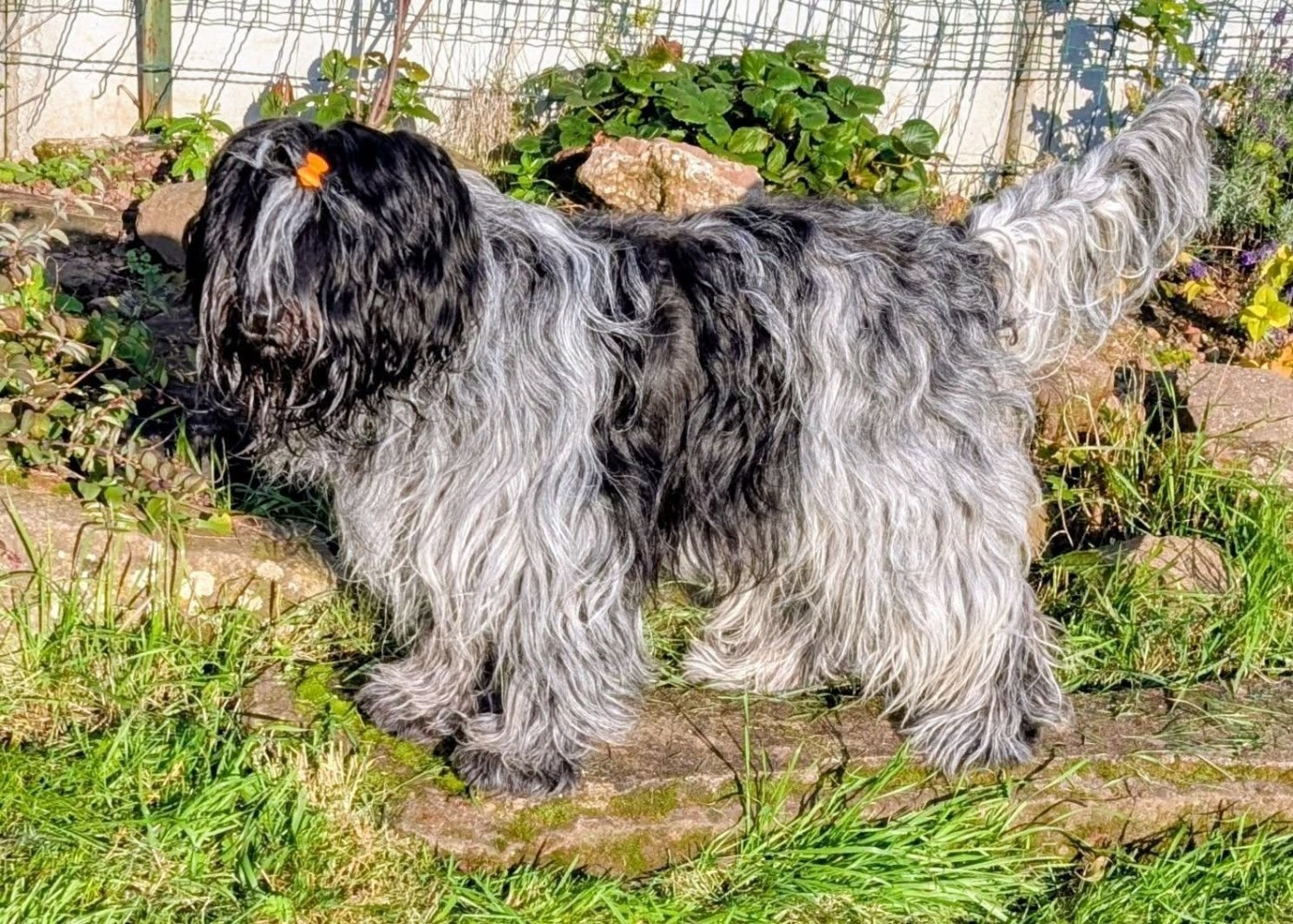 CHAMPIONNE INTERNATIONALE DE BEAUTE