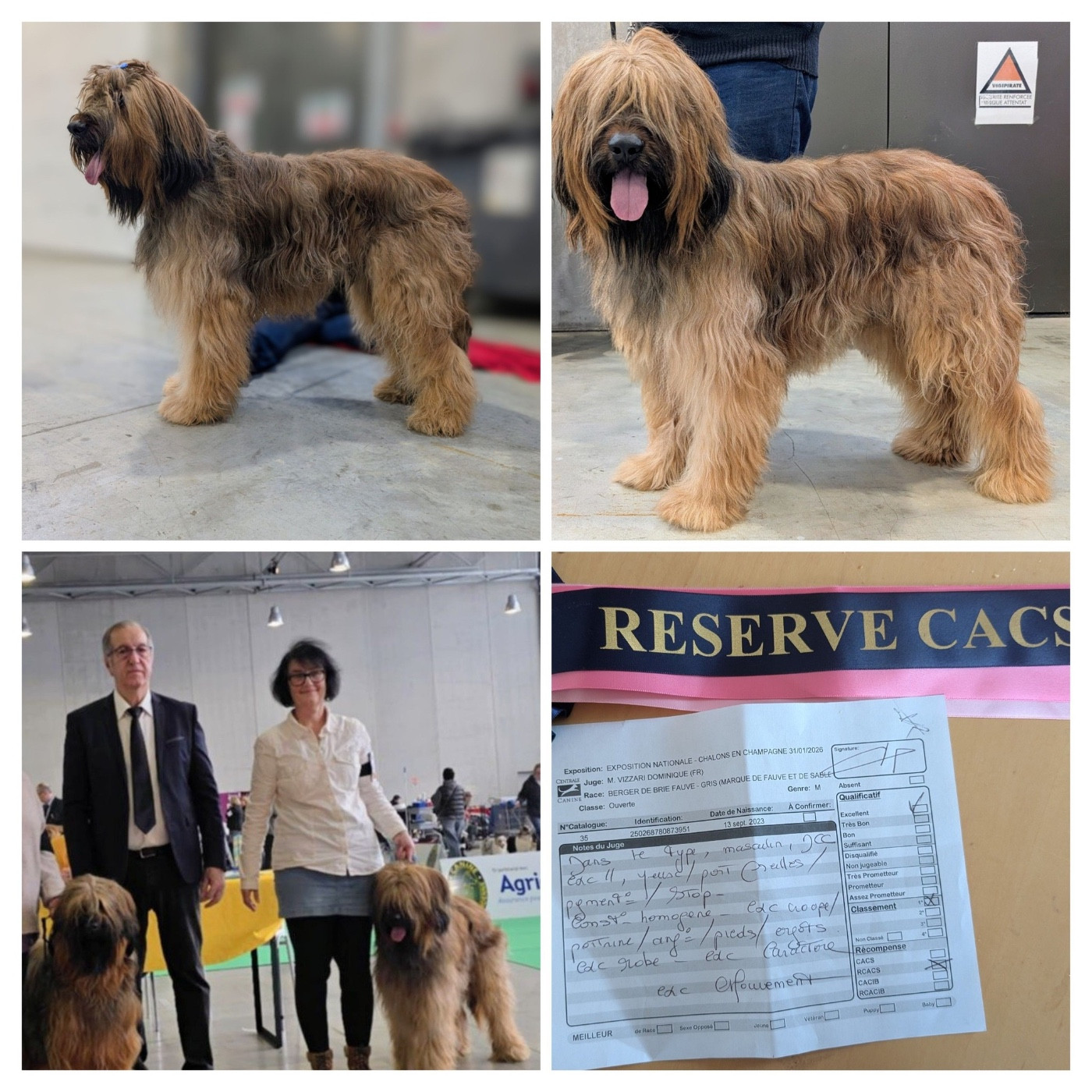 du Jardin aux Eglantines - RENTREE POUR BILOU