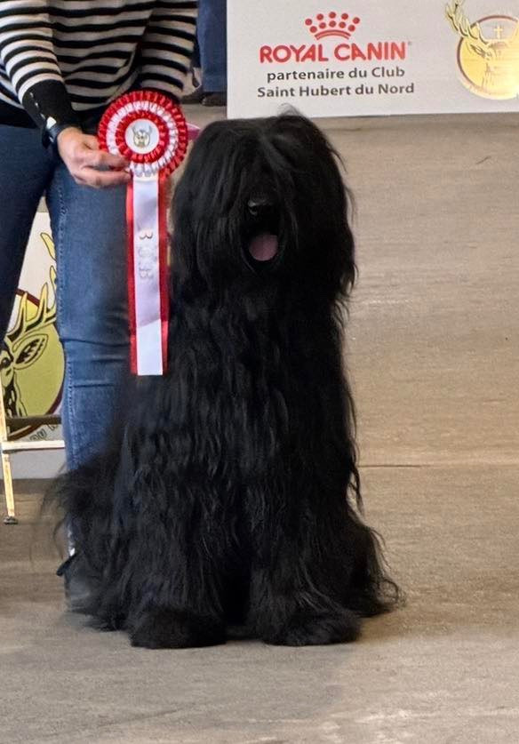 VEGAS CONTINUE SON ASCENSION