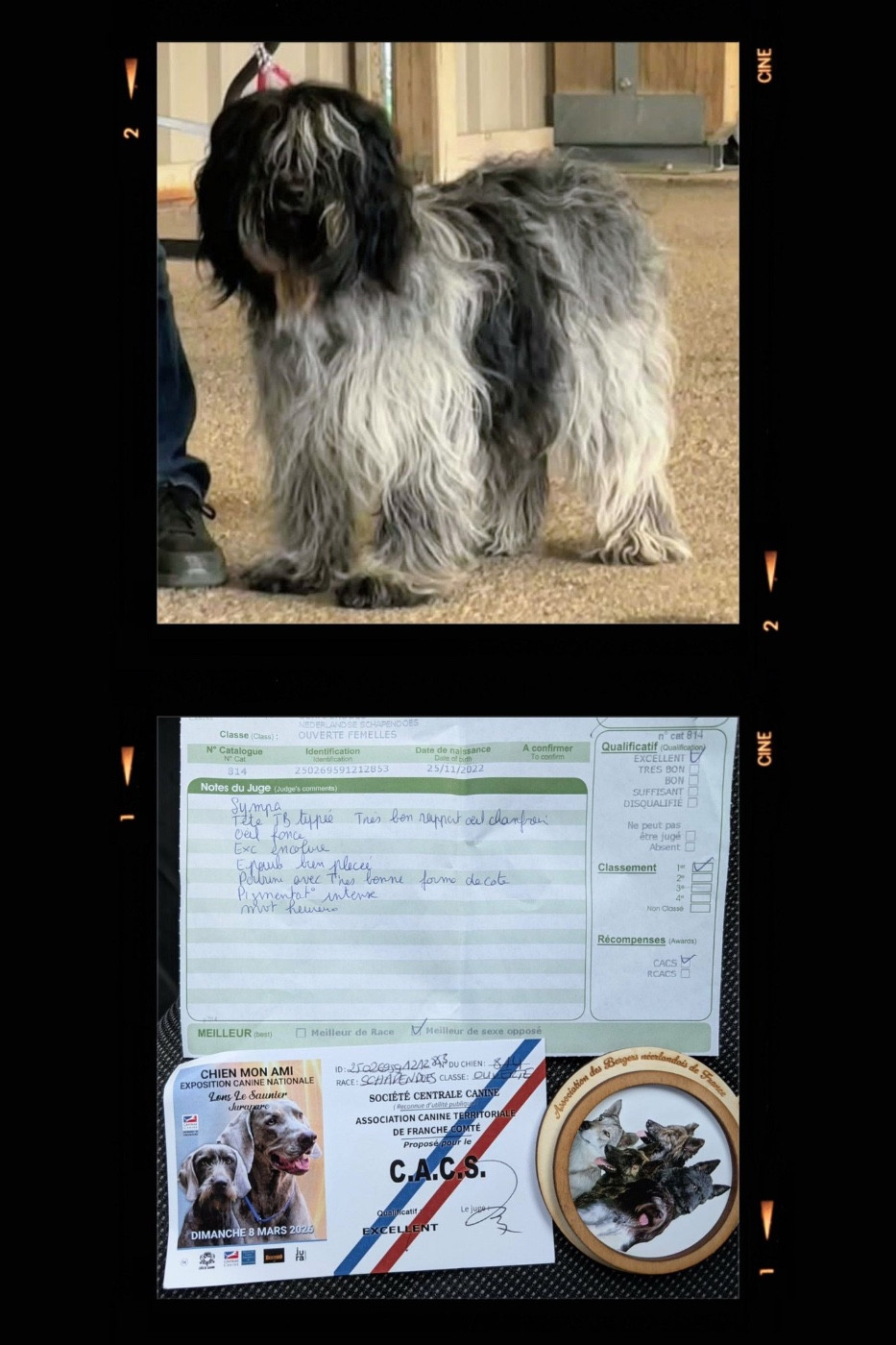 UNE RECOMPENSE DE PLUS POUR NOTRE JOLIE THESS