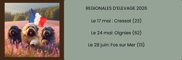 VENEZ NOMBREUX PROMOUVOIR NOTRE BELLE RACE