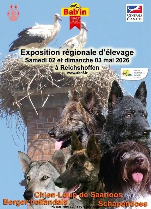 VENEZ NOMBREUX PROMOUVOIR NOTRE BELLE RACE