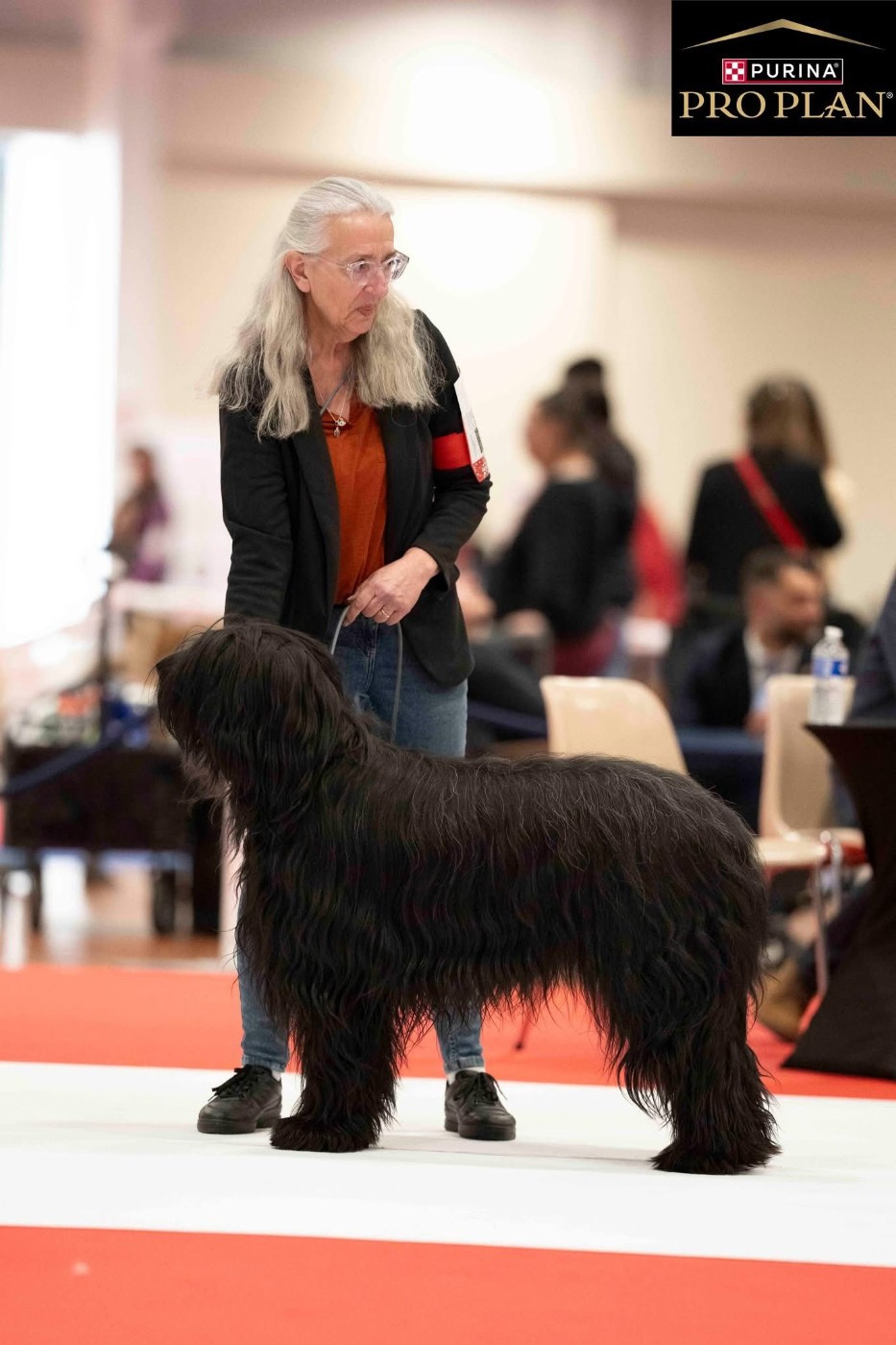 du Jardin aux Eglantines - LE GRAAL DU WEEK END POUR VEGAS