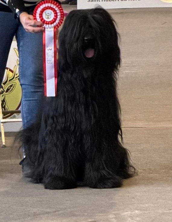 EXCELLENT WEEK END AUSSI POUR VEGAS EN ESPAGNE