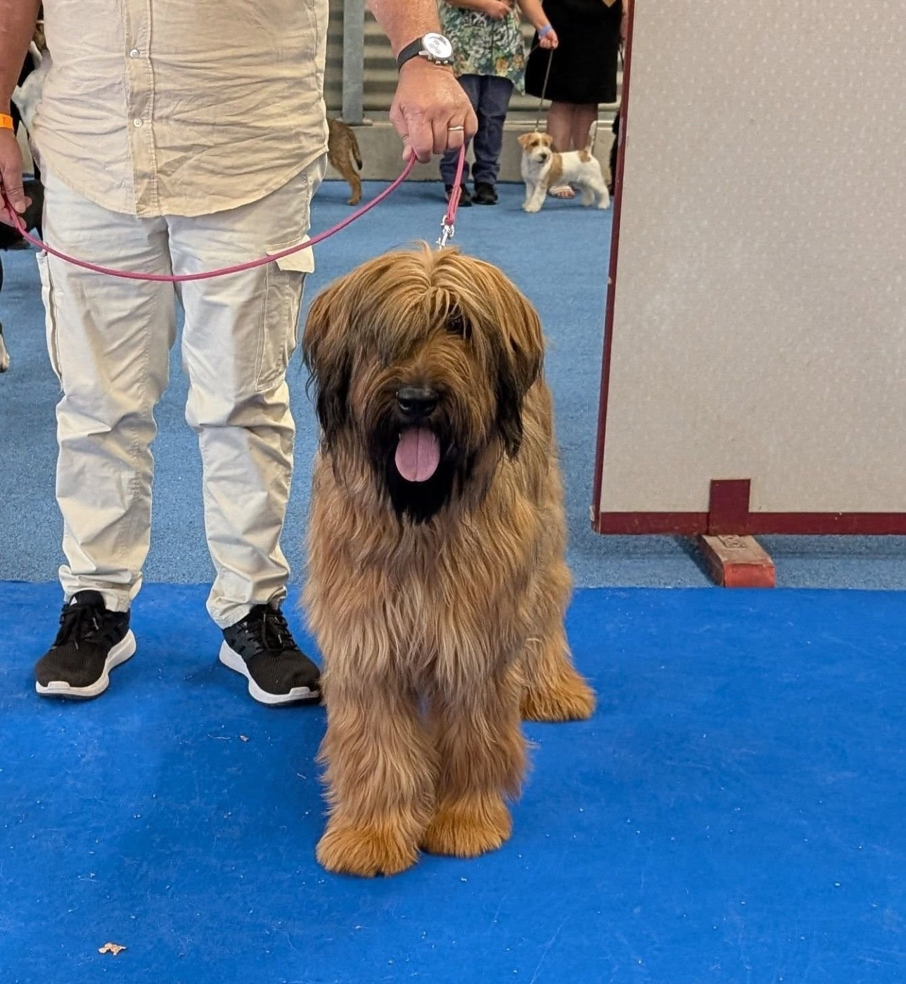 EXTRAORDINAIRE AXL AU BEST IN SHOW DE ERSTEIN STRASBOURG