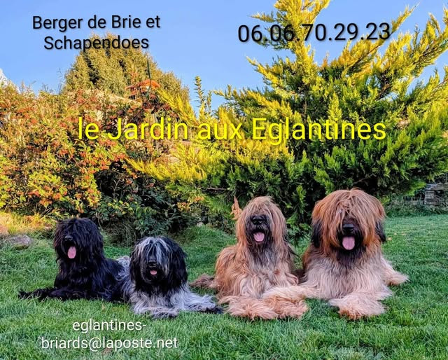 COUP DE GUEULE